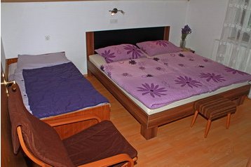 Apartament Bohinjska Bistrica 1